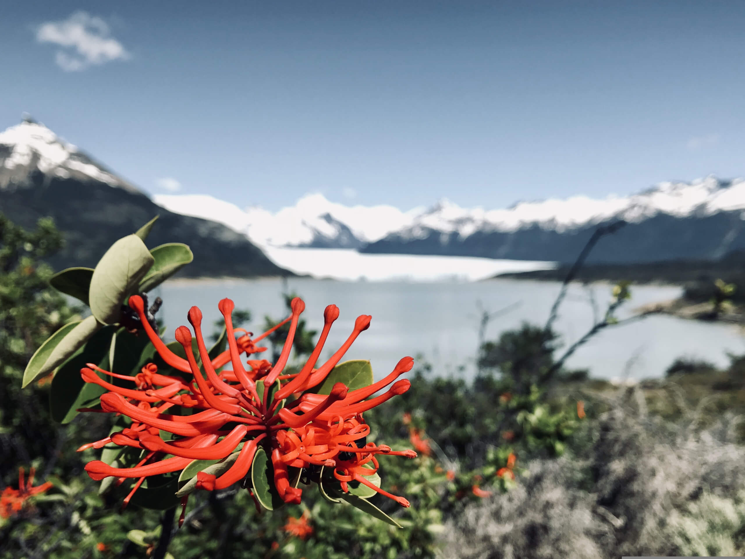 Exploring Patagonia on Ruta 40-2