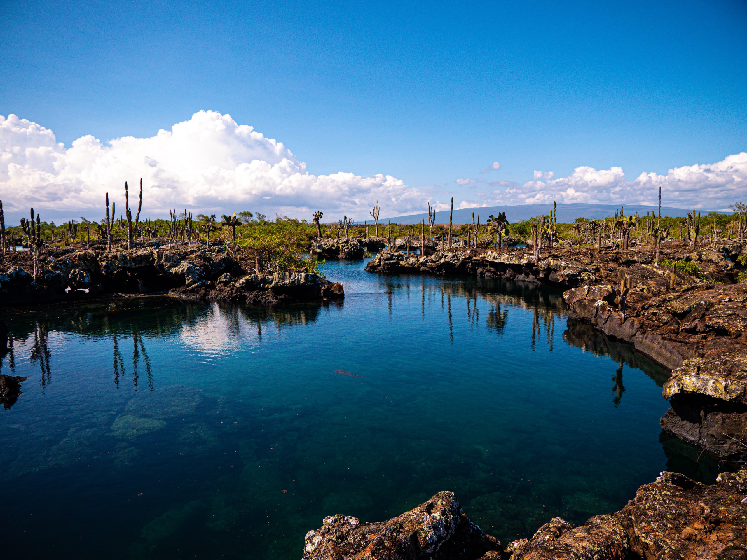 Galapagos Island Hopping Adventure-0