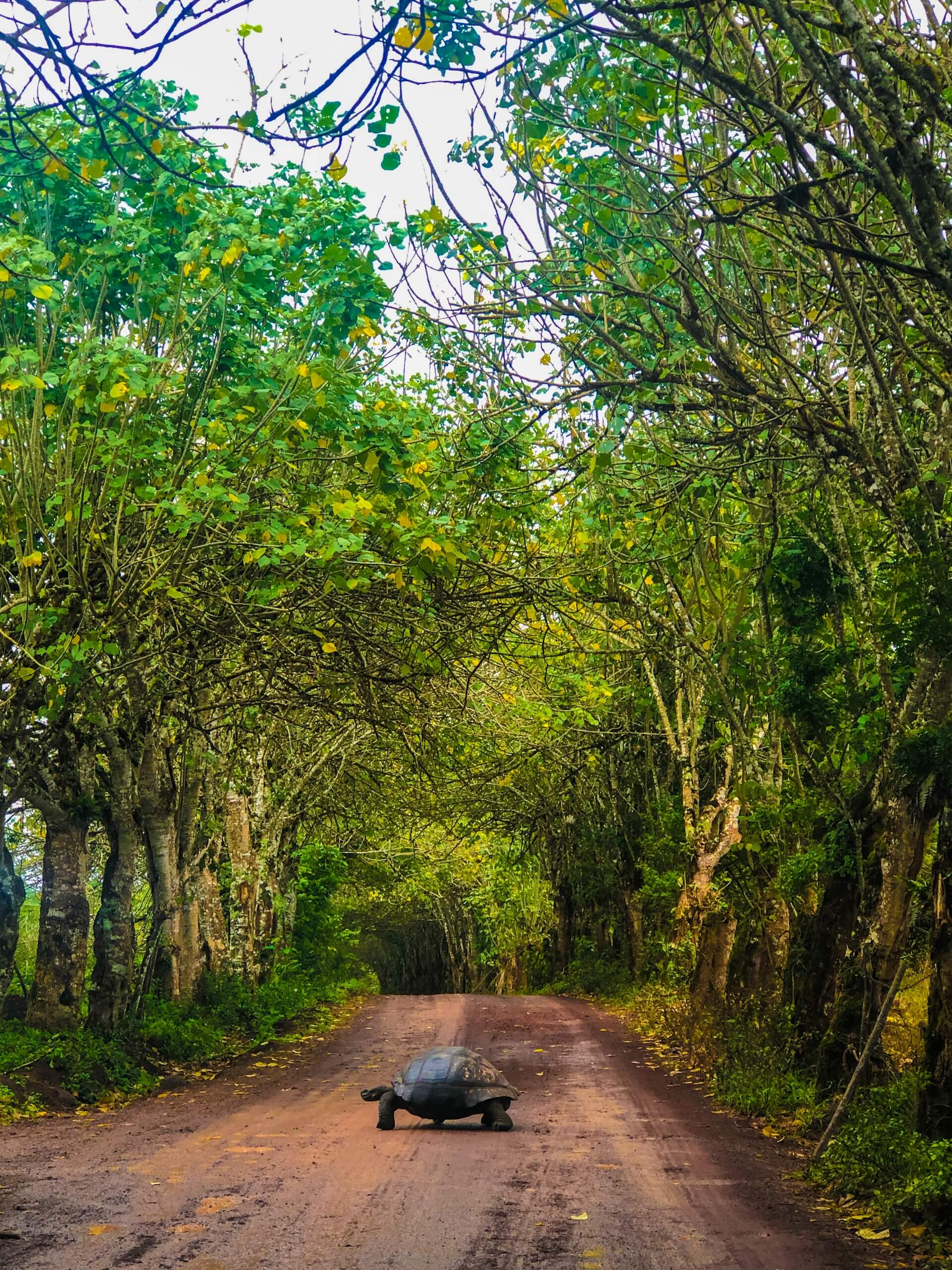 Galapagos Island Hopping Adventure-1