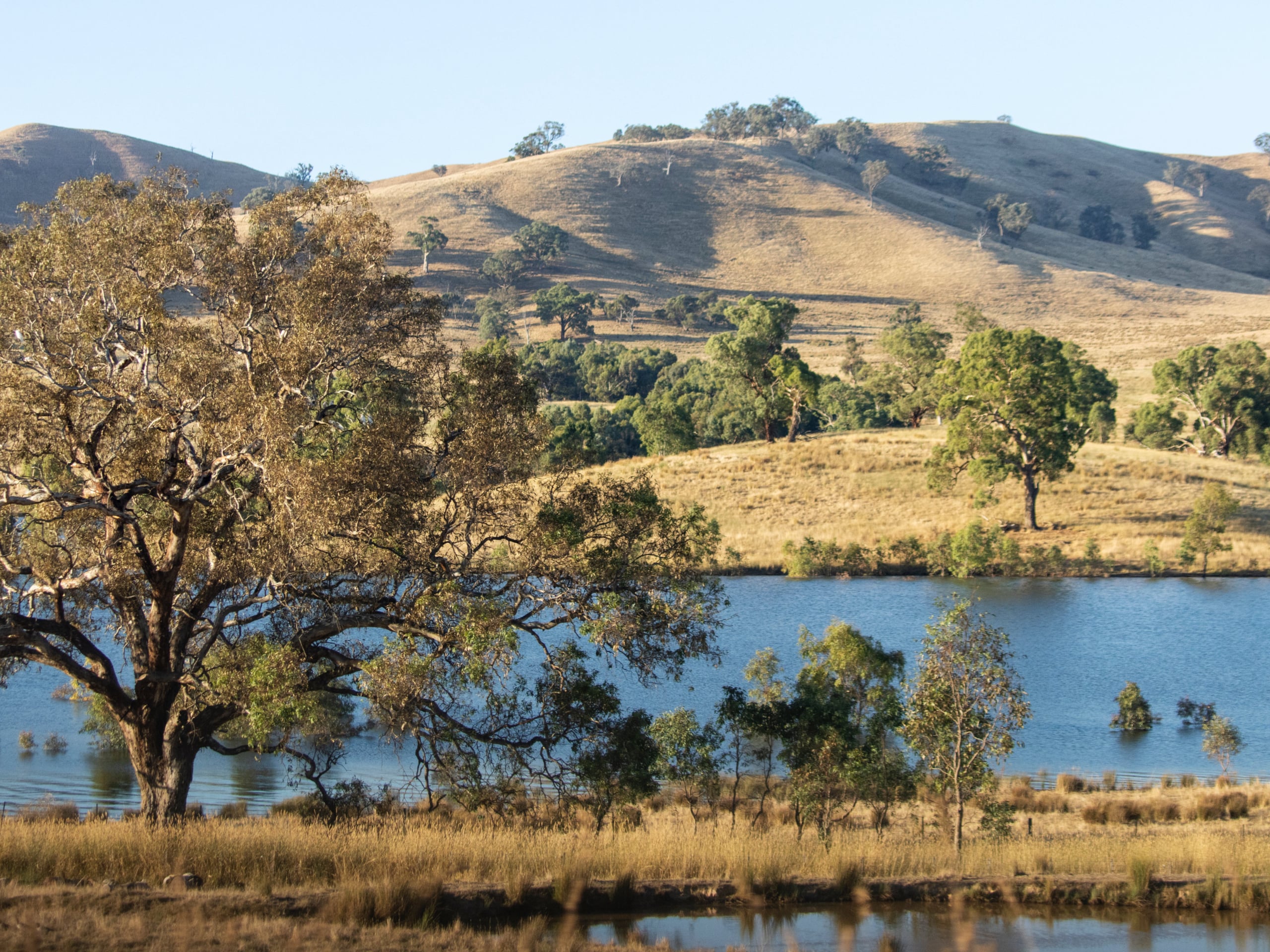 Great Victorian Rail Trail Biking Tour