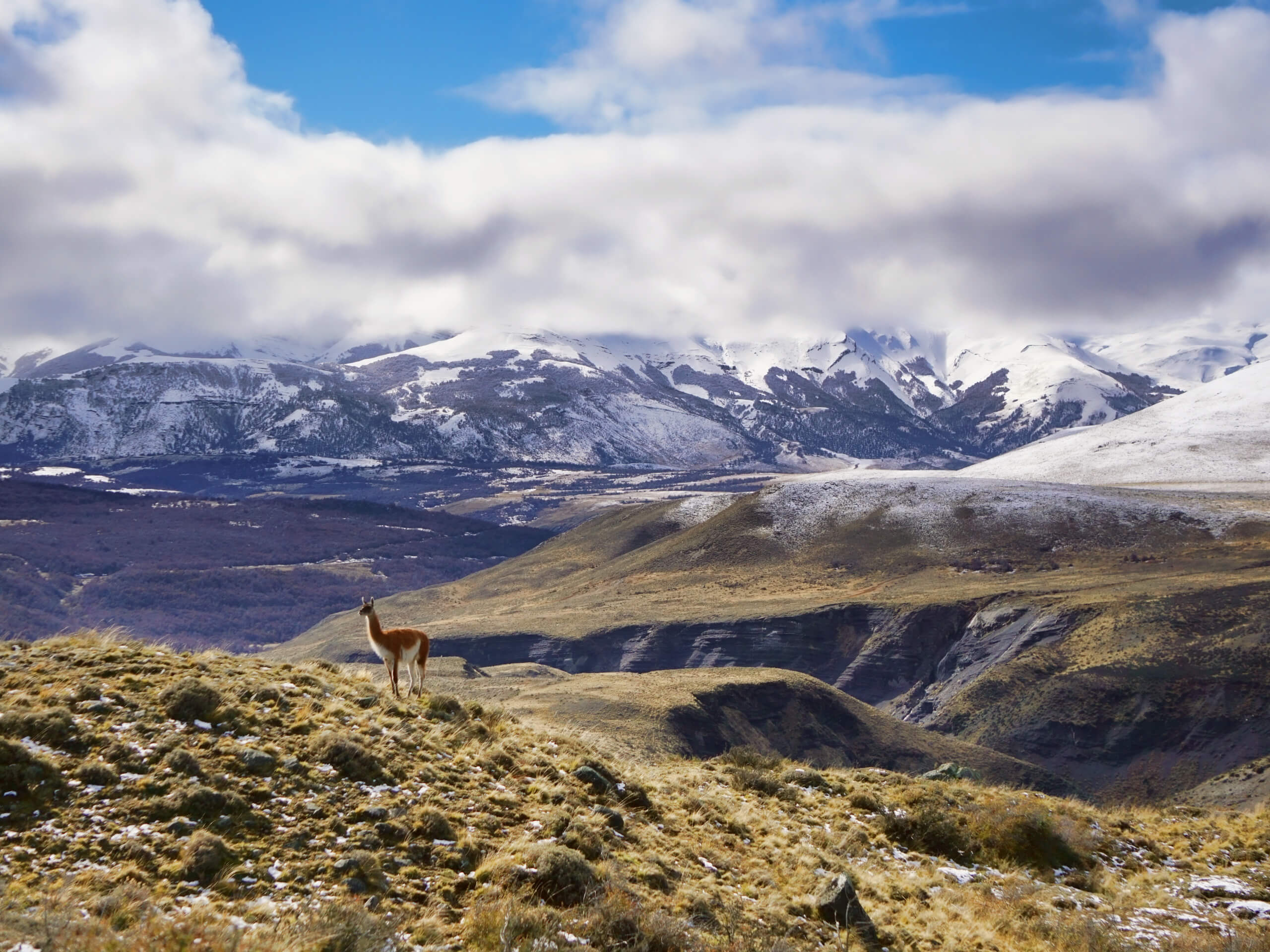 Horseback Riding to Patagonia’s Hidden Glaciers-0