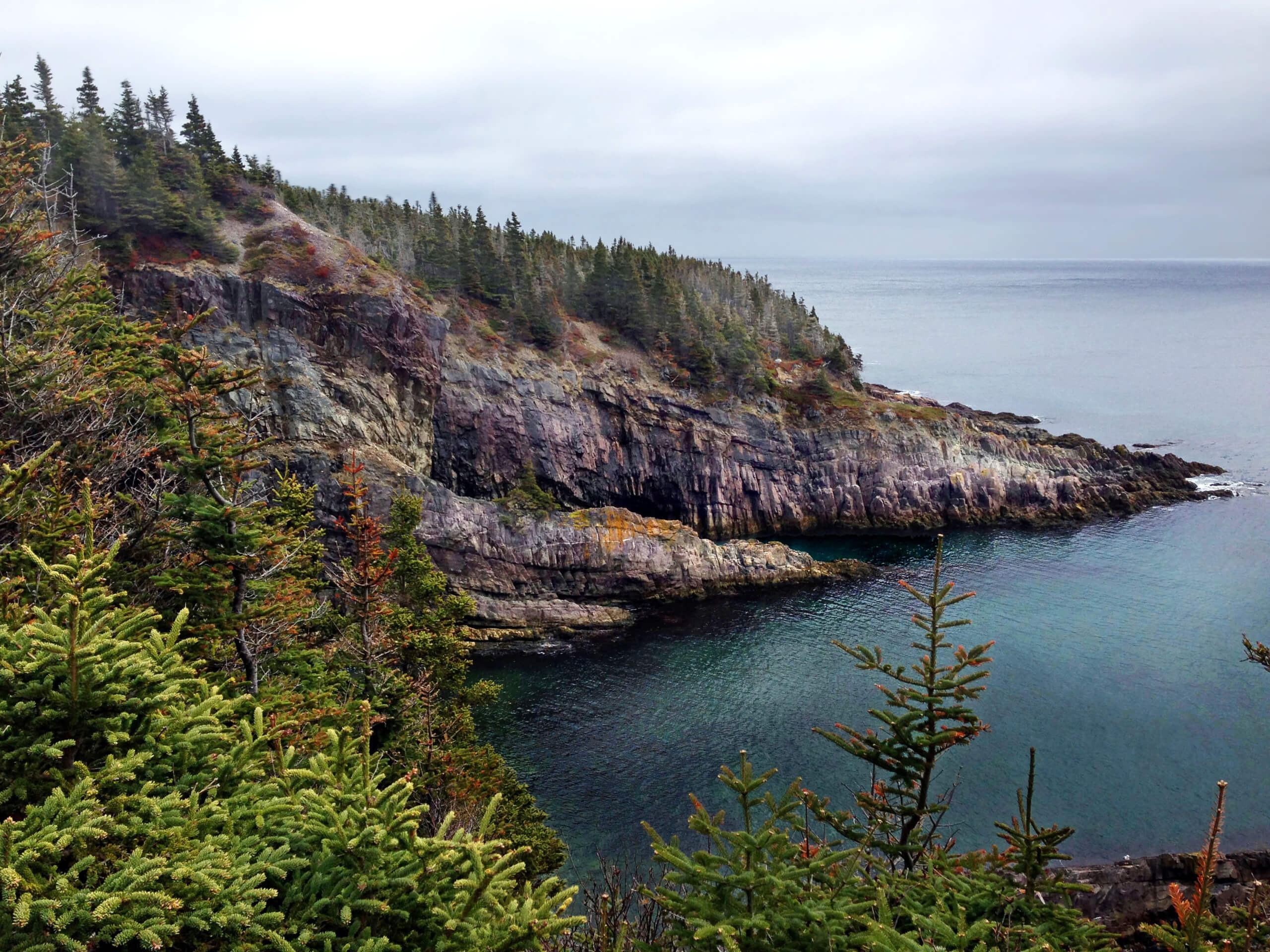 Newfoundland’s North Coast Self-Drive Tour