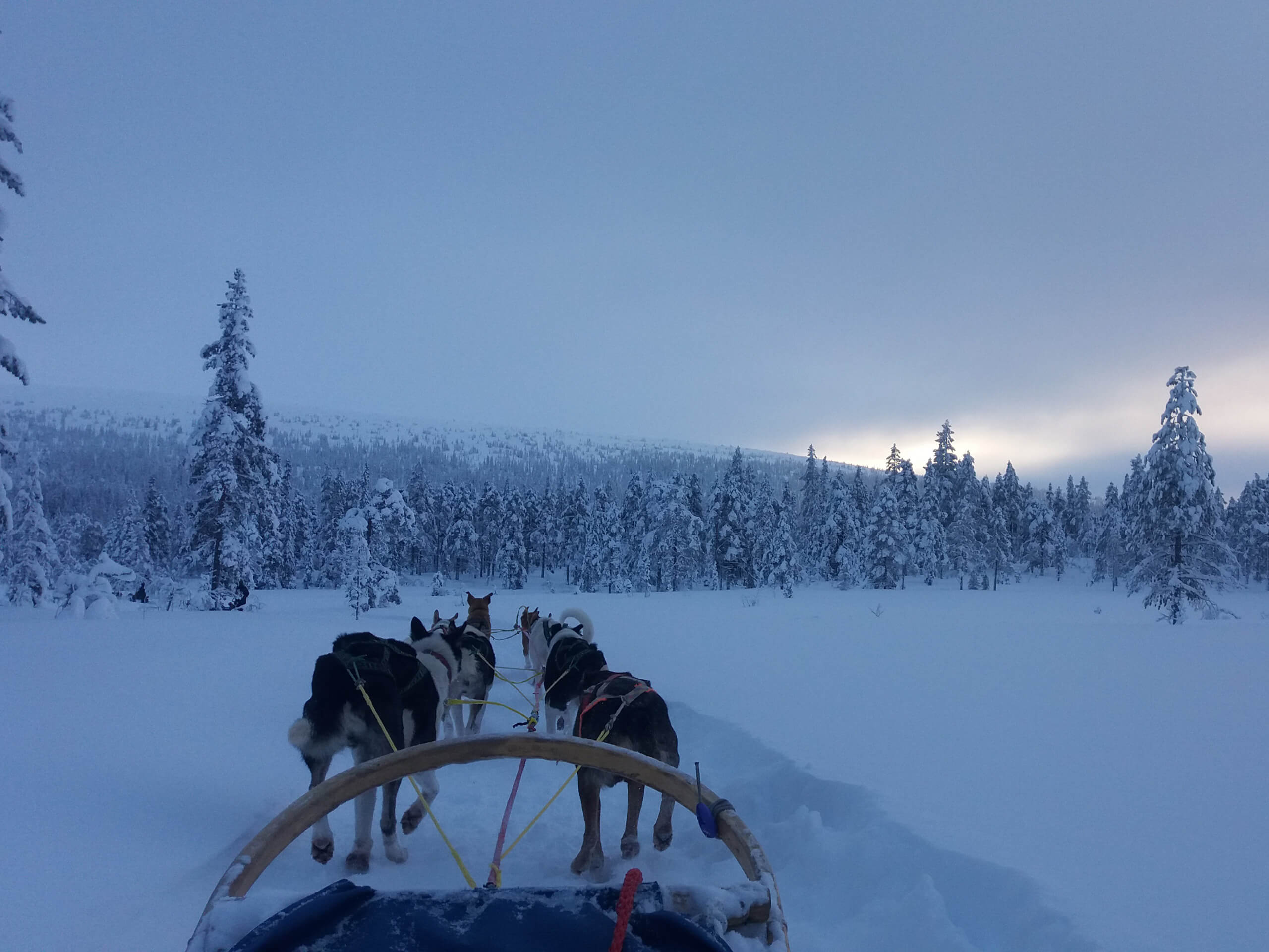 Winter in Yukon’s Kluane National Park-1