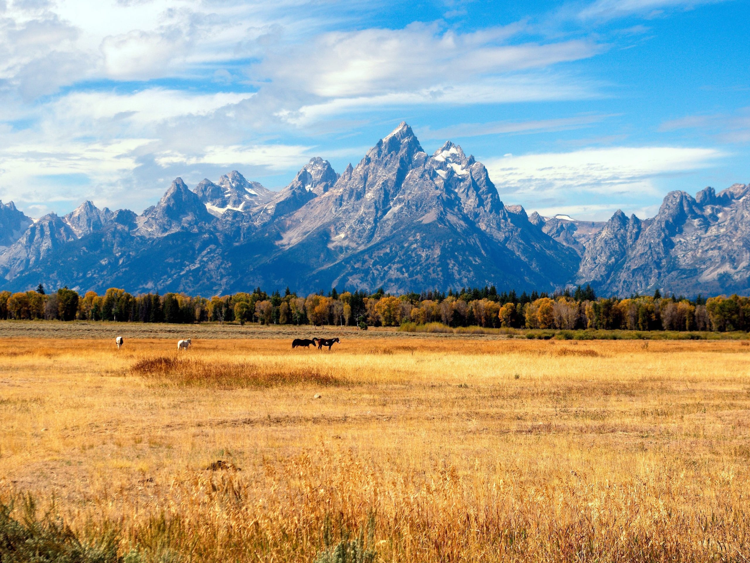 Yellowstone, Tetons, Glacier Self-Drive Tour