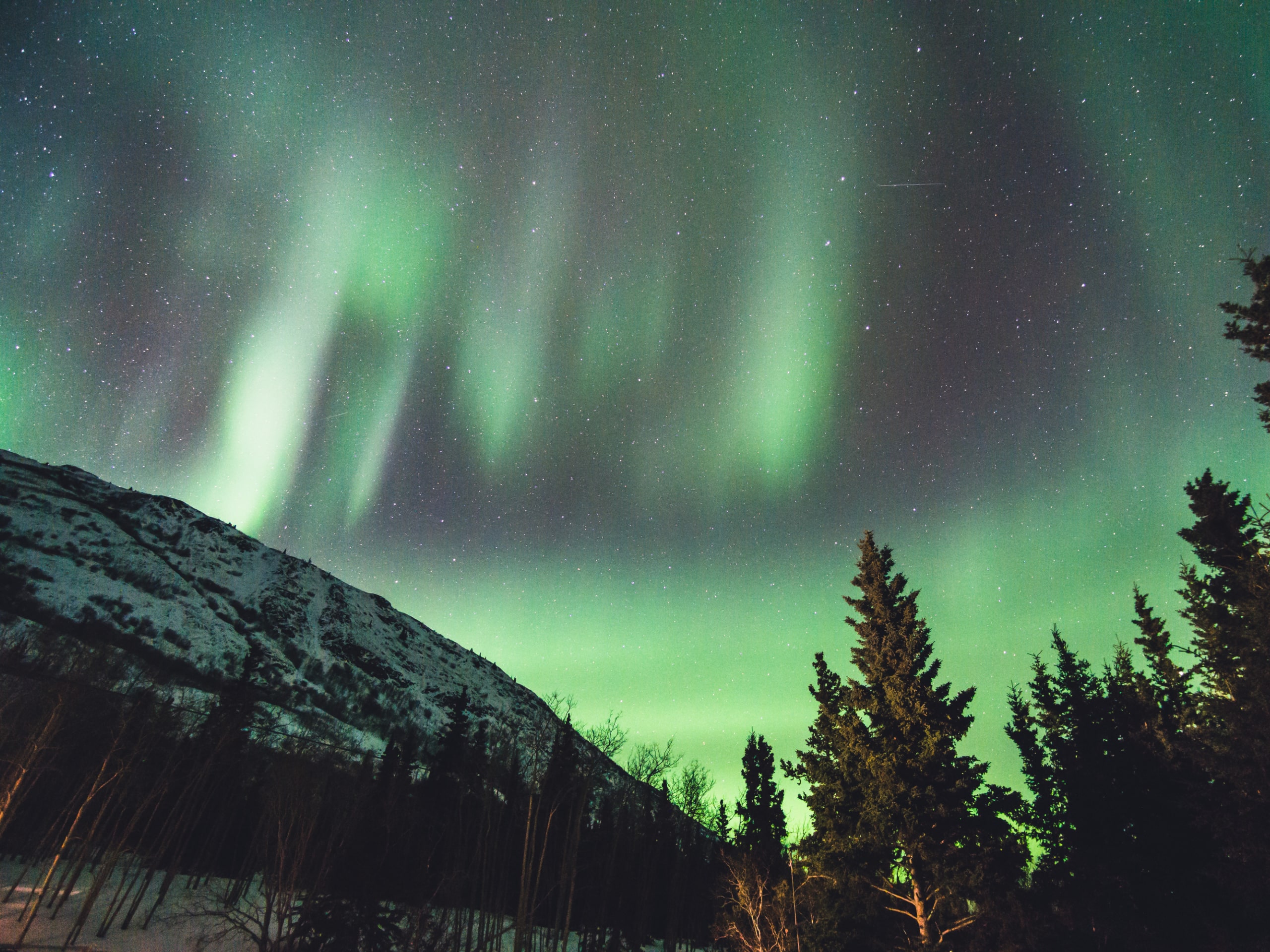 Yukon’s Autumn Colours and Northern Lights Self-Drive Tour-1