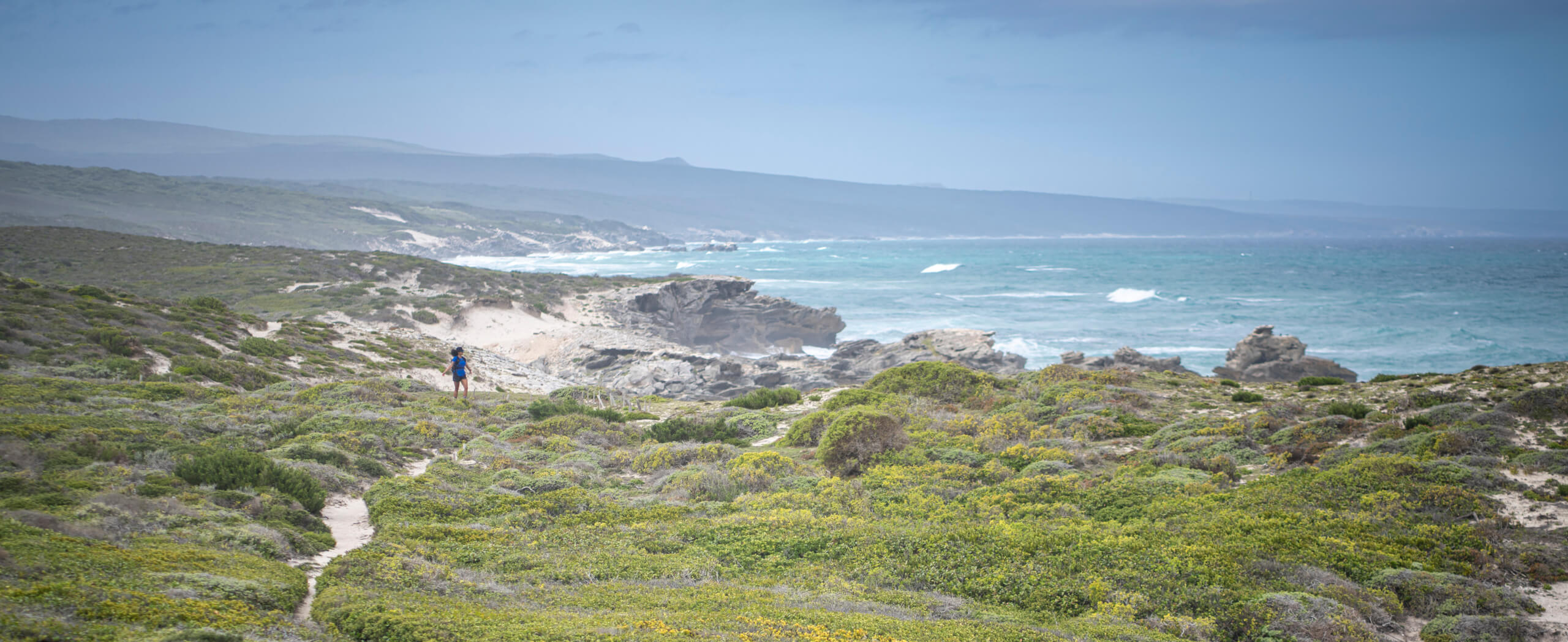 Cape Town & De Hoop Comfort Hiking Tour