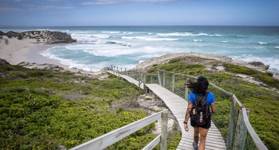 Cape Town & De Hoop Comfort Hiking Tour