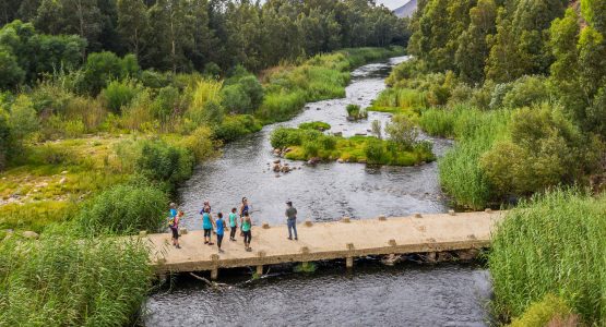 Cape Winelands Walking Tour