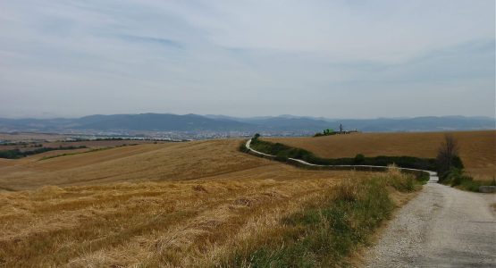 Camino Frances Stage 1: Roncesvalles to Logroño