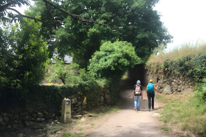 Camino Frances from Ponferrada to Santiago de Compostela