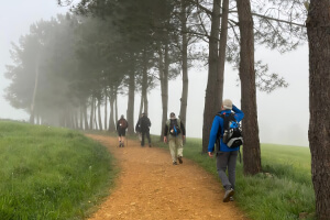 Slower-Paced French Way (Camino Frances) Pilgrimage