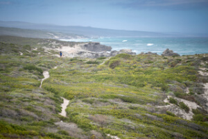 Cape Town & De Hoop Comfort Hiking Tour