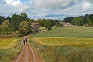 Easy English Way Camino Tour