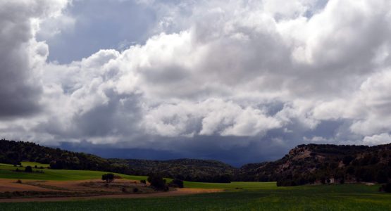 Camino Francés Stage 2: Logroño to Burgos-4