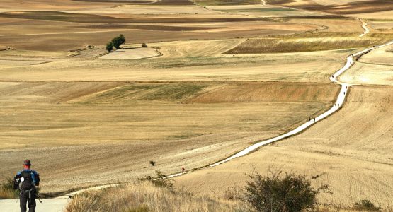 Camino Francés Stage 3: Burgos to León-6