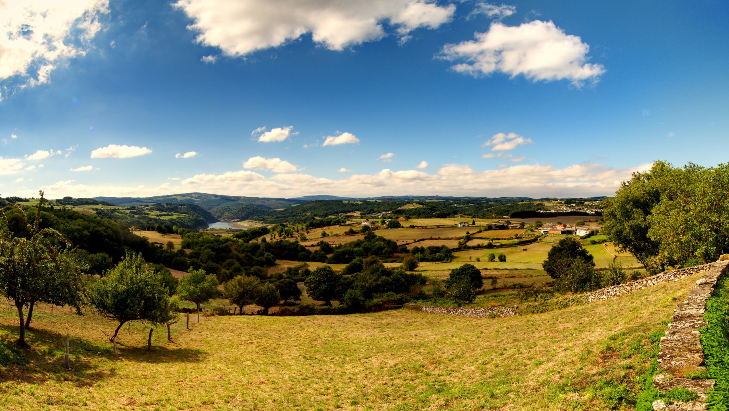 Camino Frances