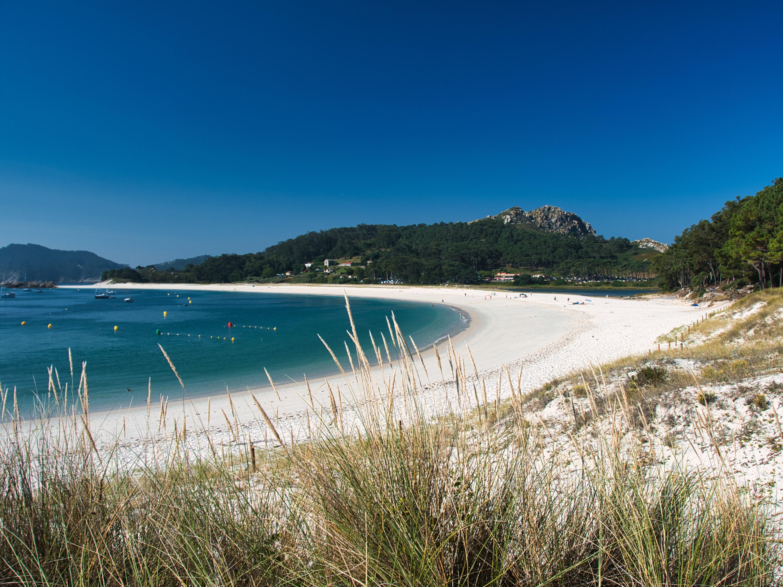 Camino Portugues Coastal Slow Tour-4