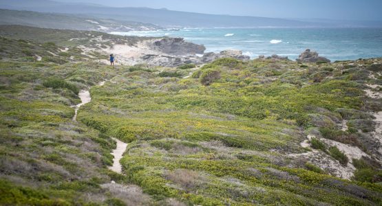 Cape Town & De Hoop Comfort Hiking Tour-1