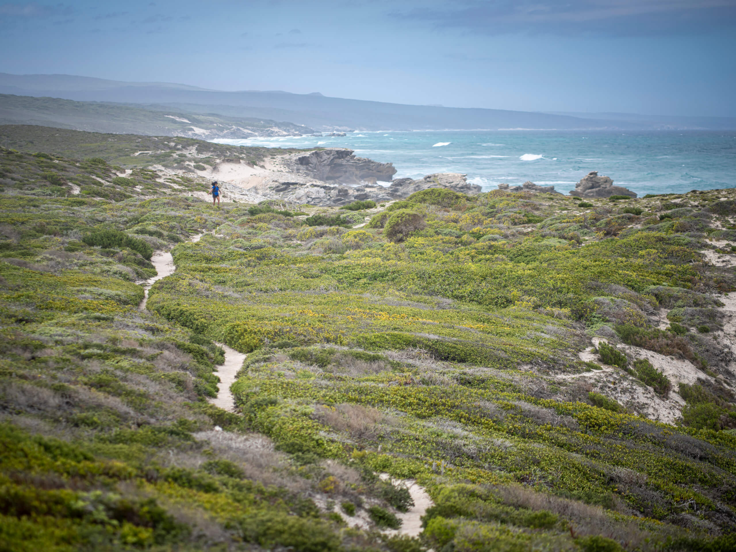 Cape Town & De Hoop Comfort Hiking Tour-1