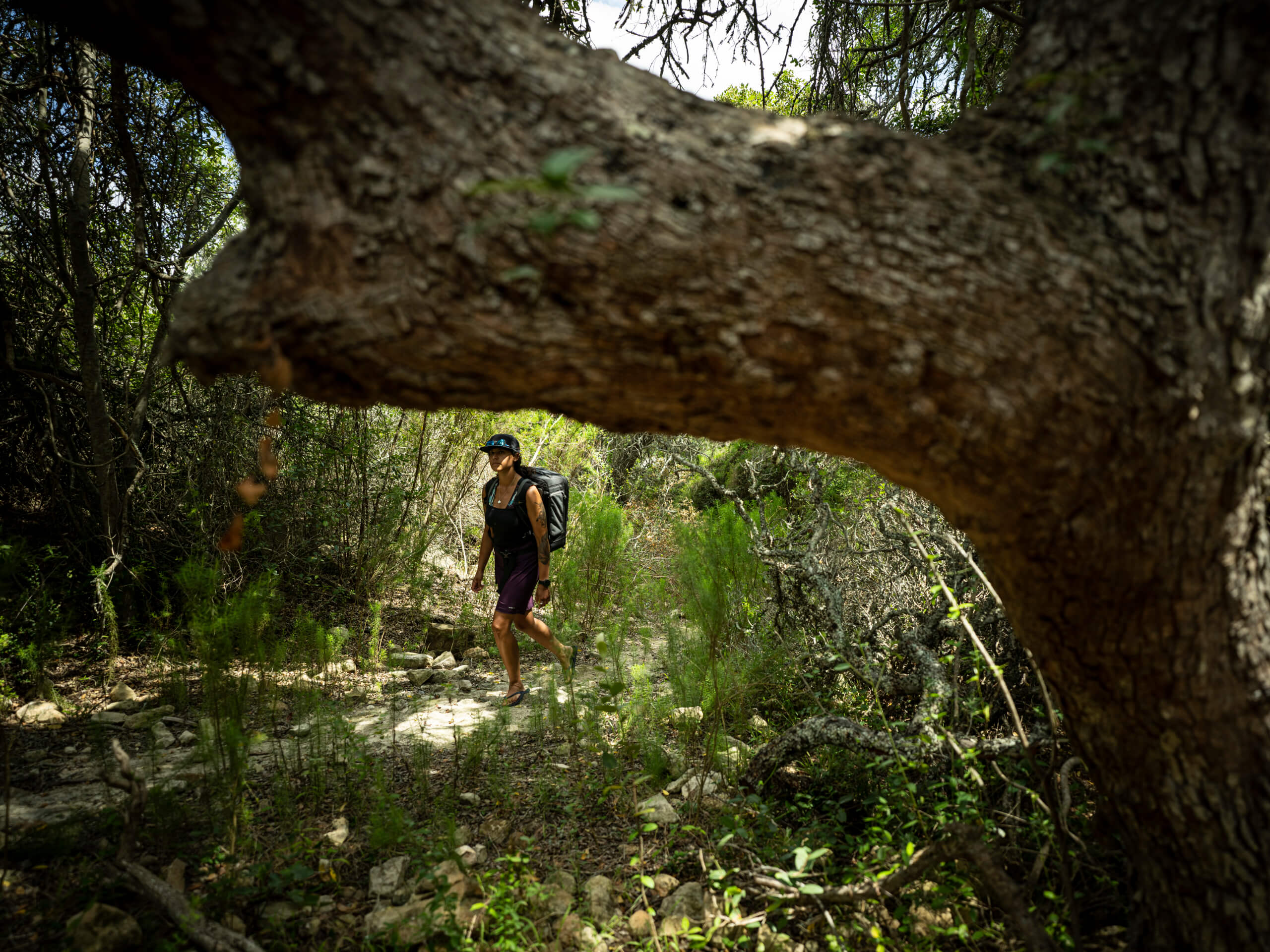 Cape Town & De Hoop Comfort Hiking Tour-11