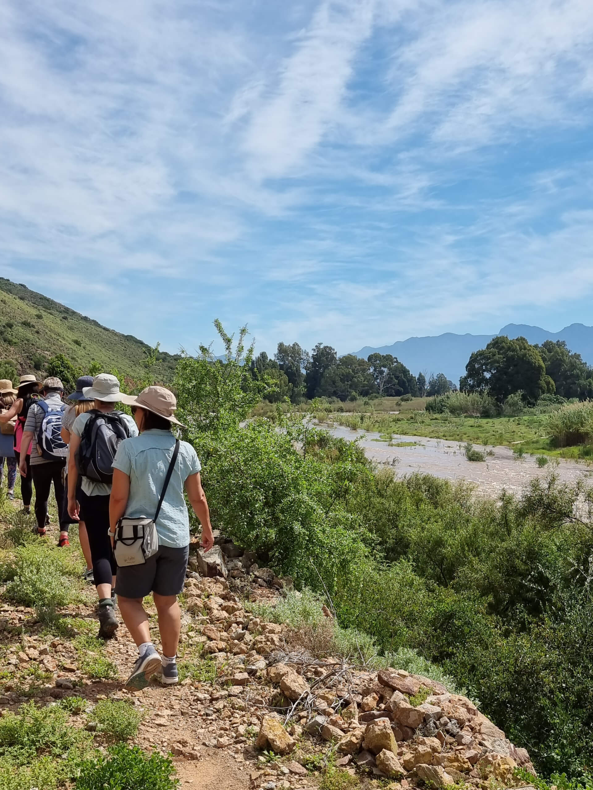 Cape Winelands Walking Tour-16