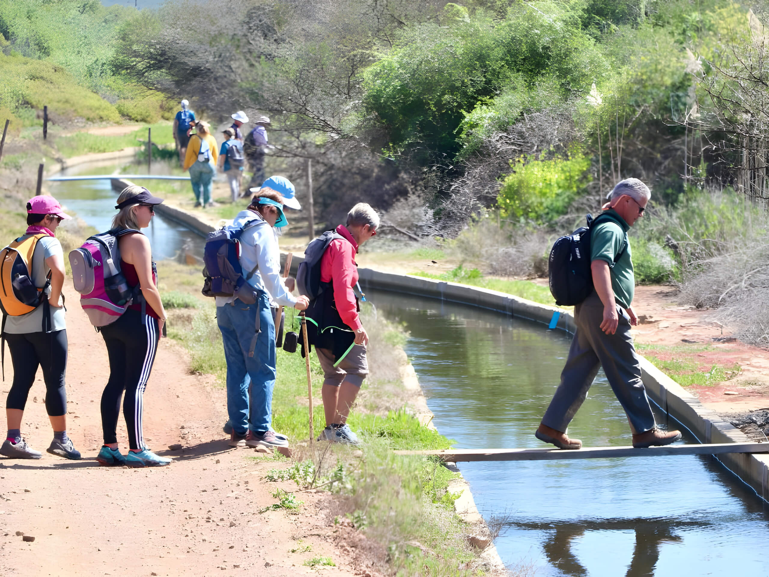 Cape Winelands Walking Tour-5