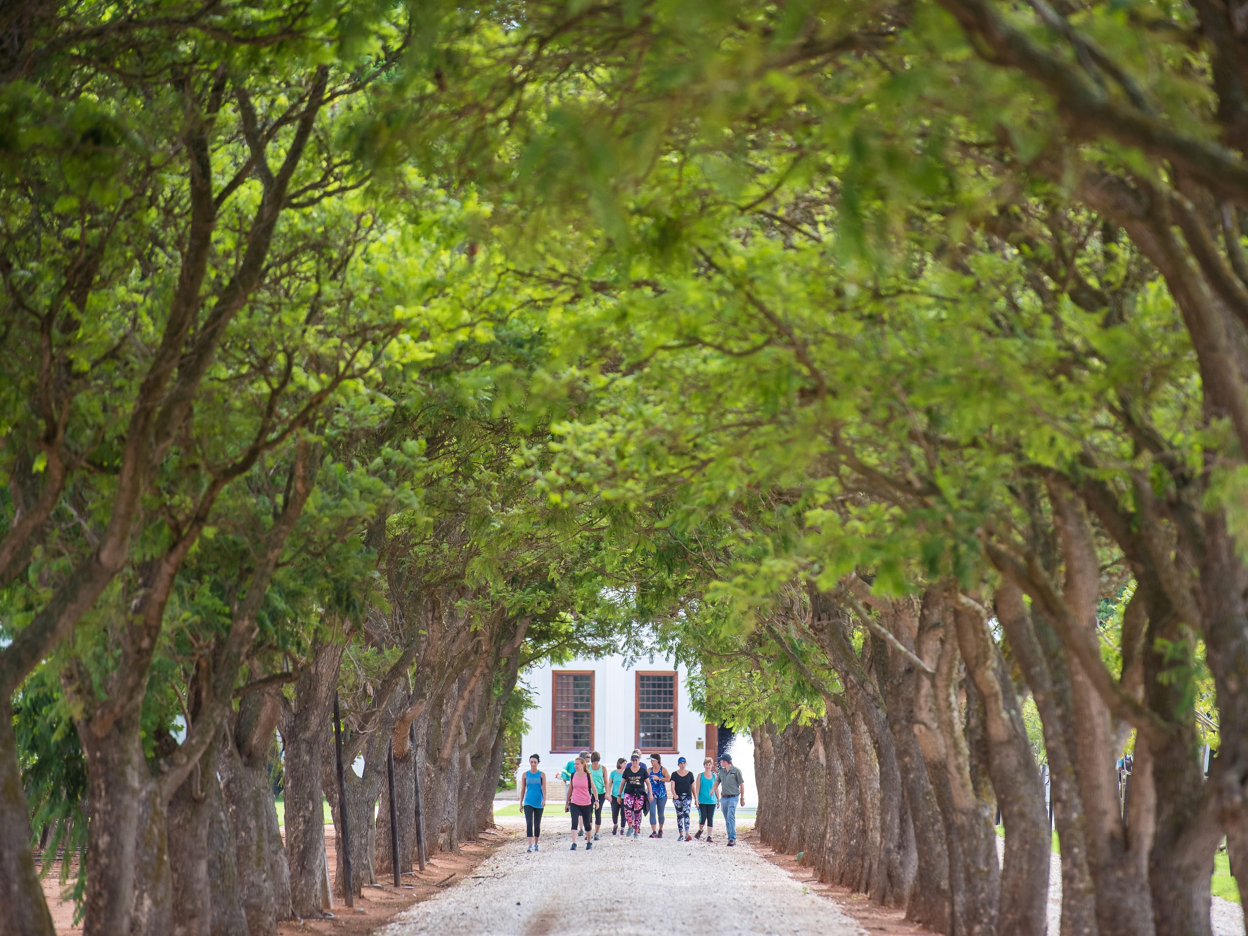 Cape Winelands Walking Tour-8