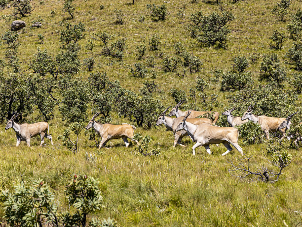 Drakensberg Deluxe Hiking Tour-11