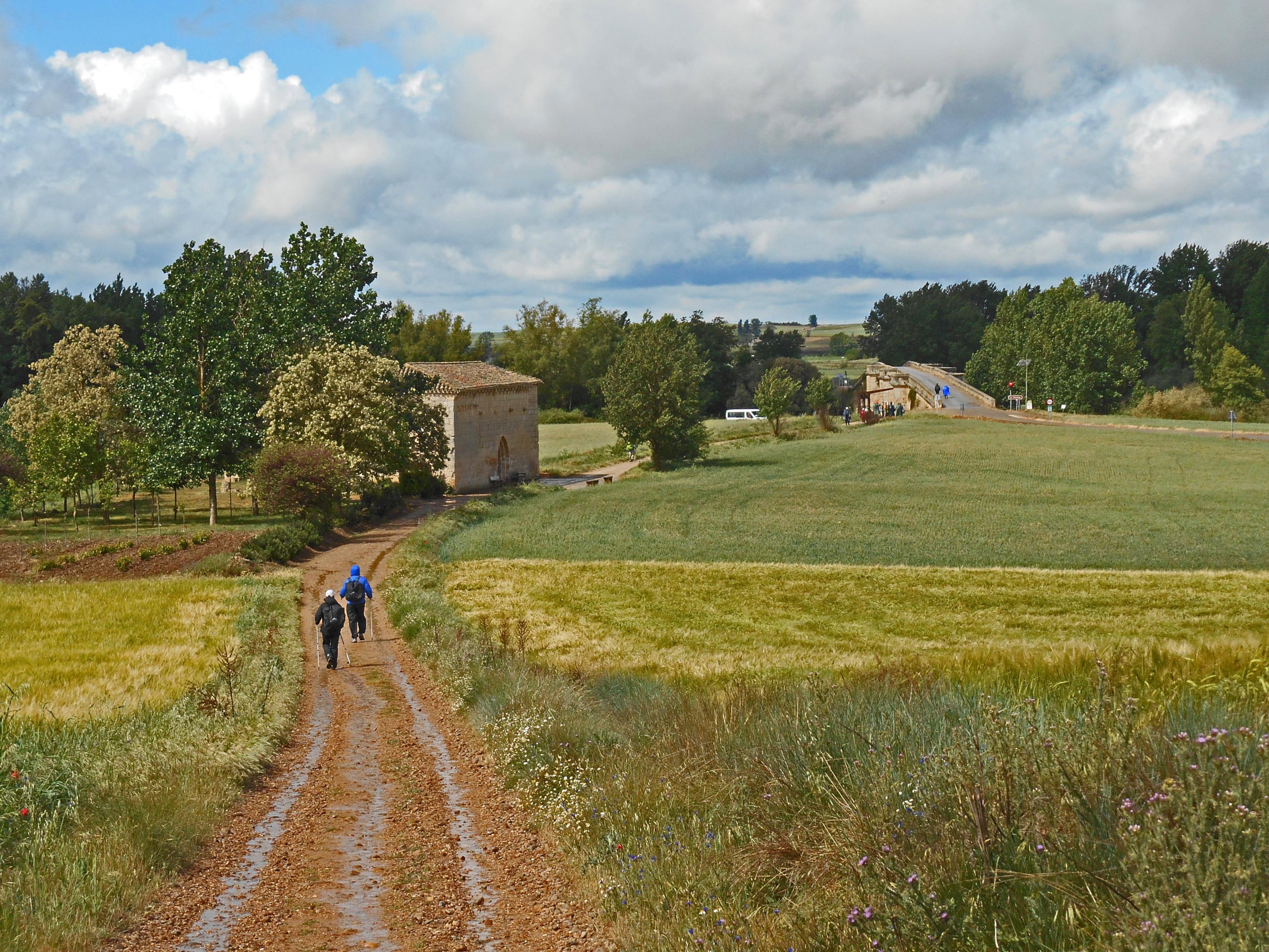 Easy English Way Camino Tour-2