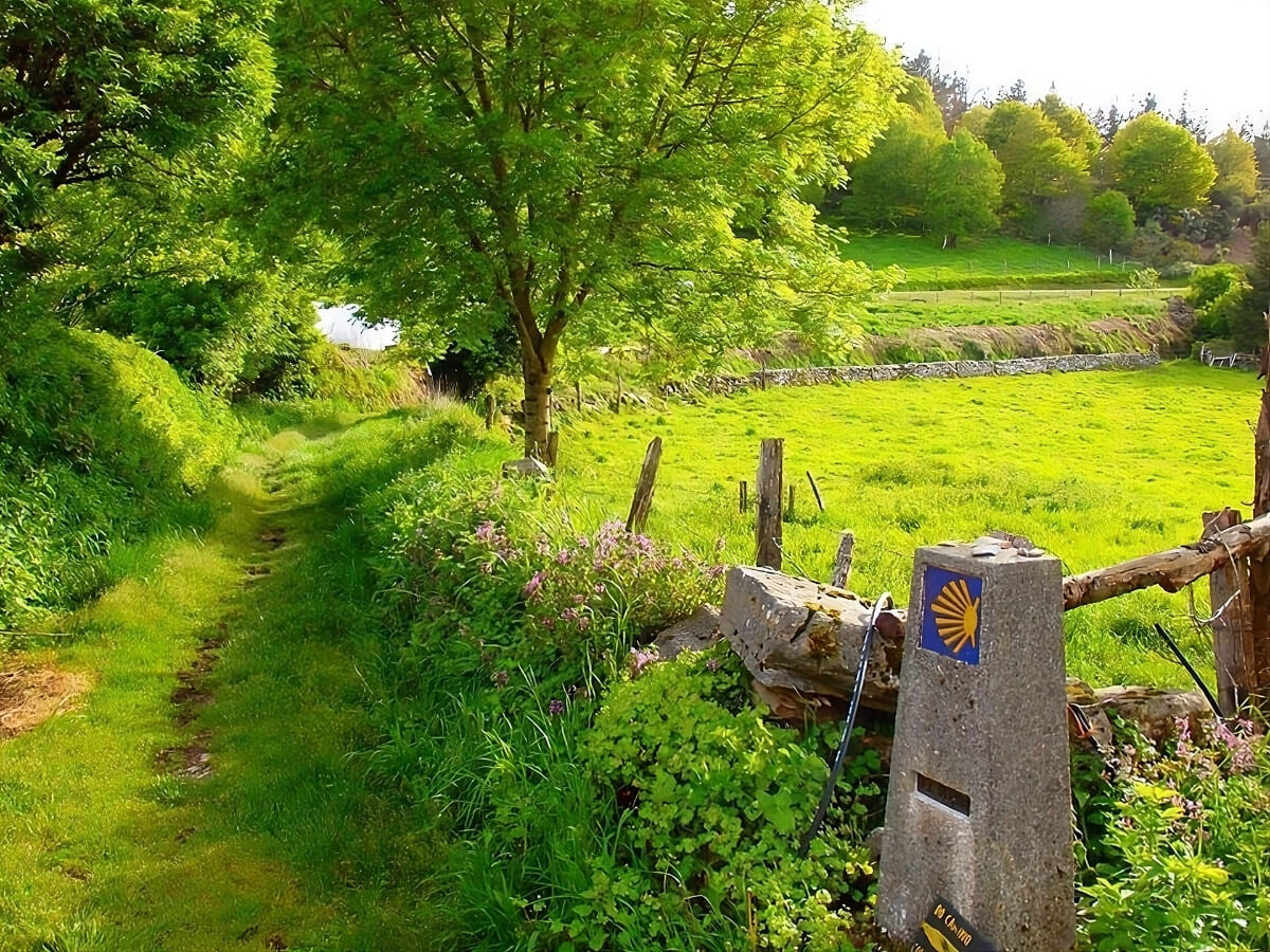 Portuguese Camino Coastal: Last 100km-8