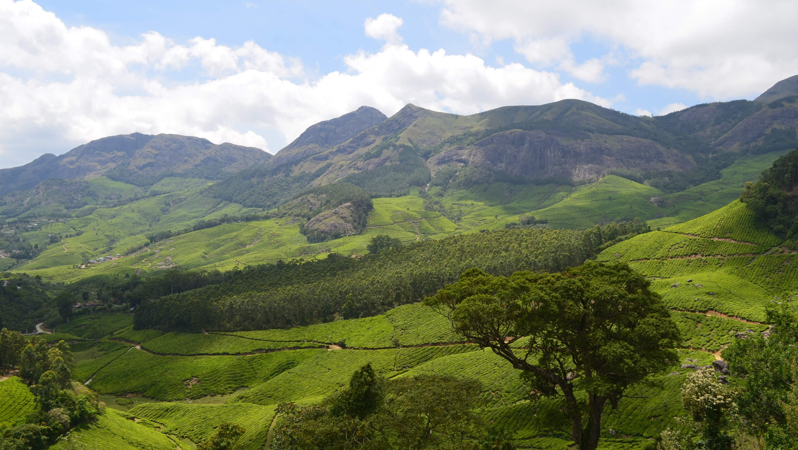 Southern India