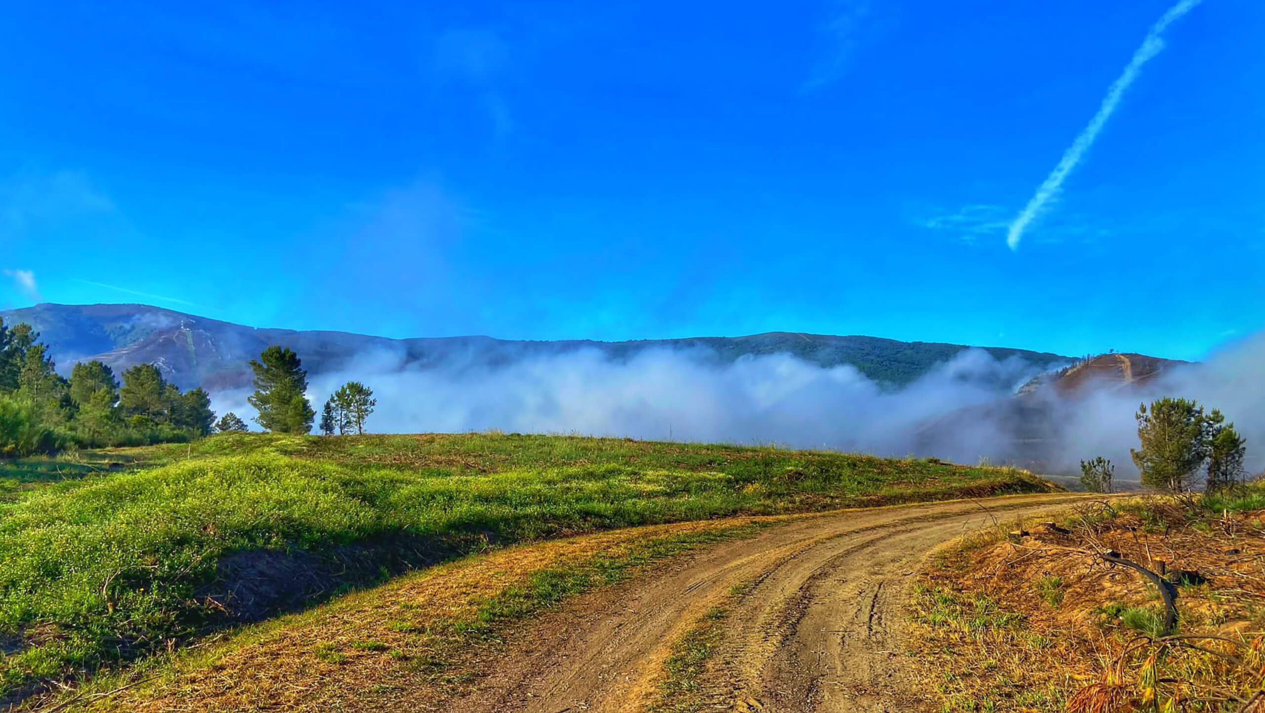 Camino de Invierno