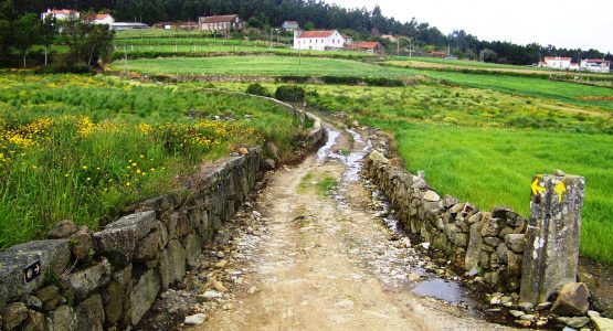 Portuguese Camino