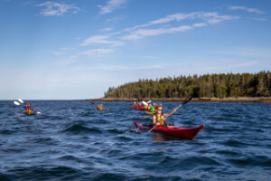 Bay of Fundy Sea Kayaking-1