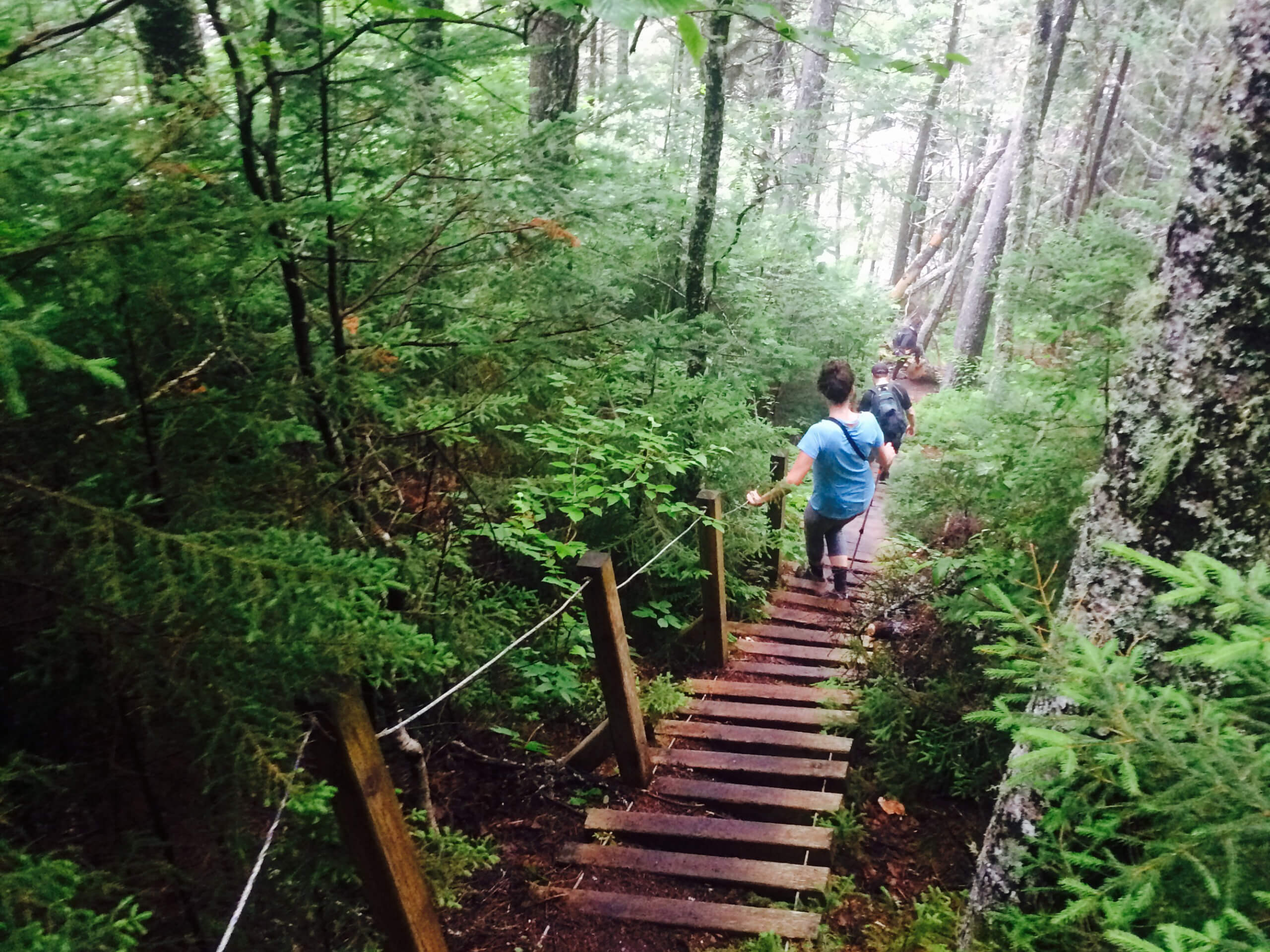 Bay of Fundy Footpath Trek-16