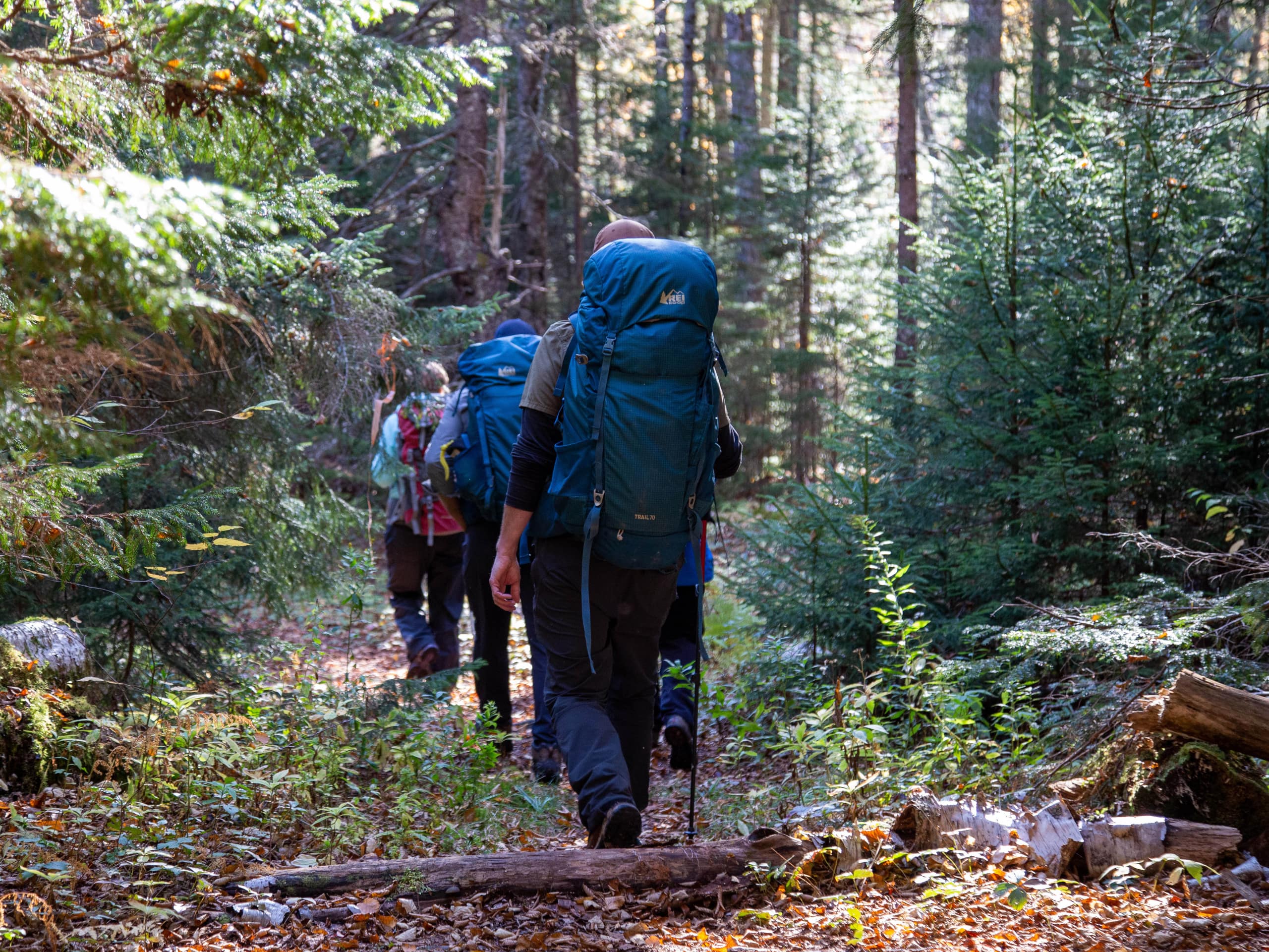 Bay of Fundy Footpath Trek-7