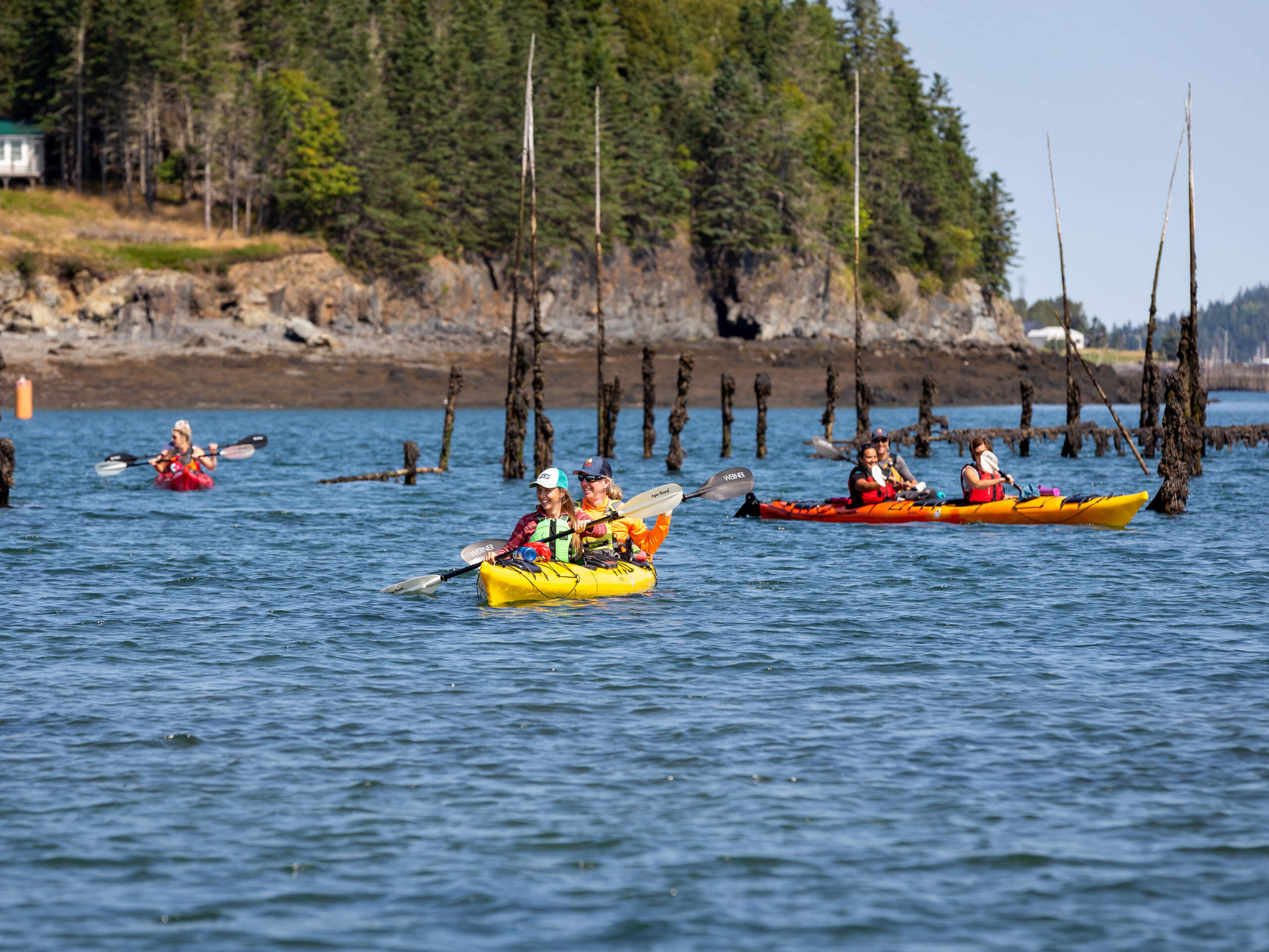 Bay of Fundy Sea Kayaking-1