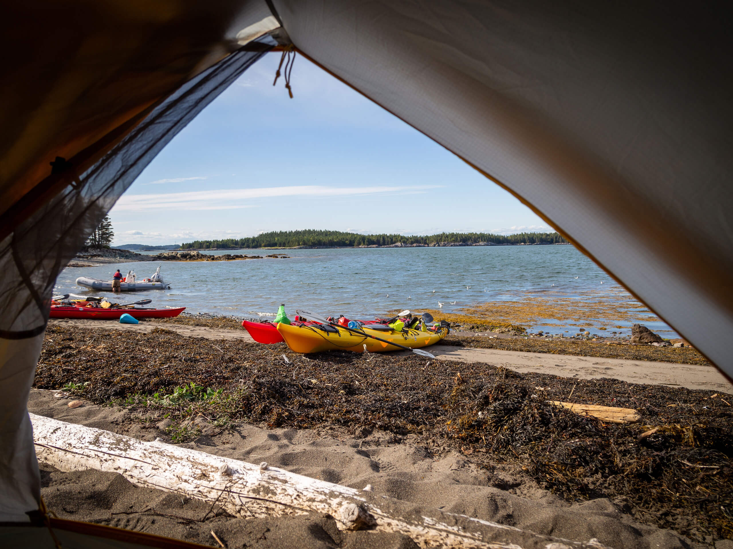 Bay of Fundy Sea Kayaking-15