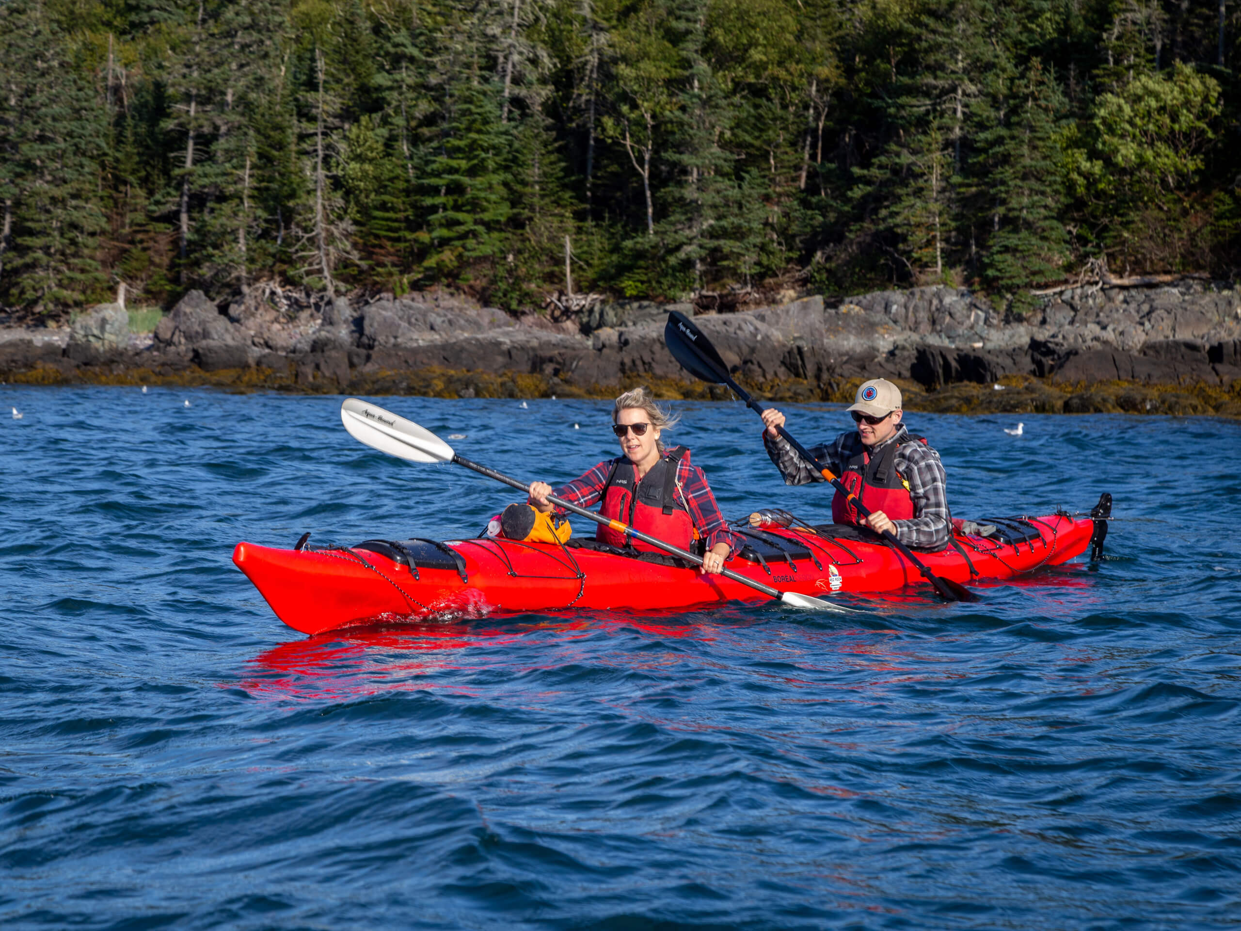 Bay of Fundy Sea Kayaking-18