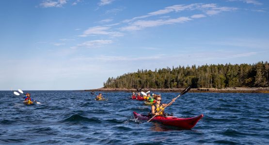 Bay of Fundy Sea Kayaking-2
