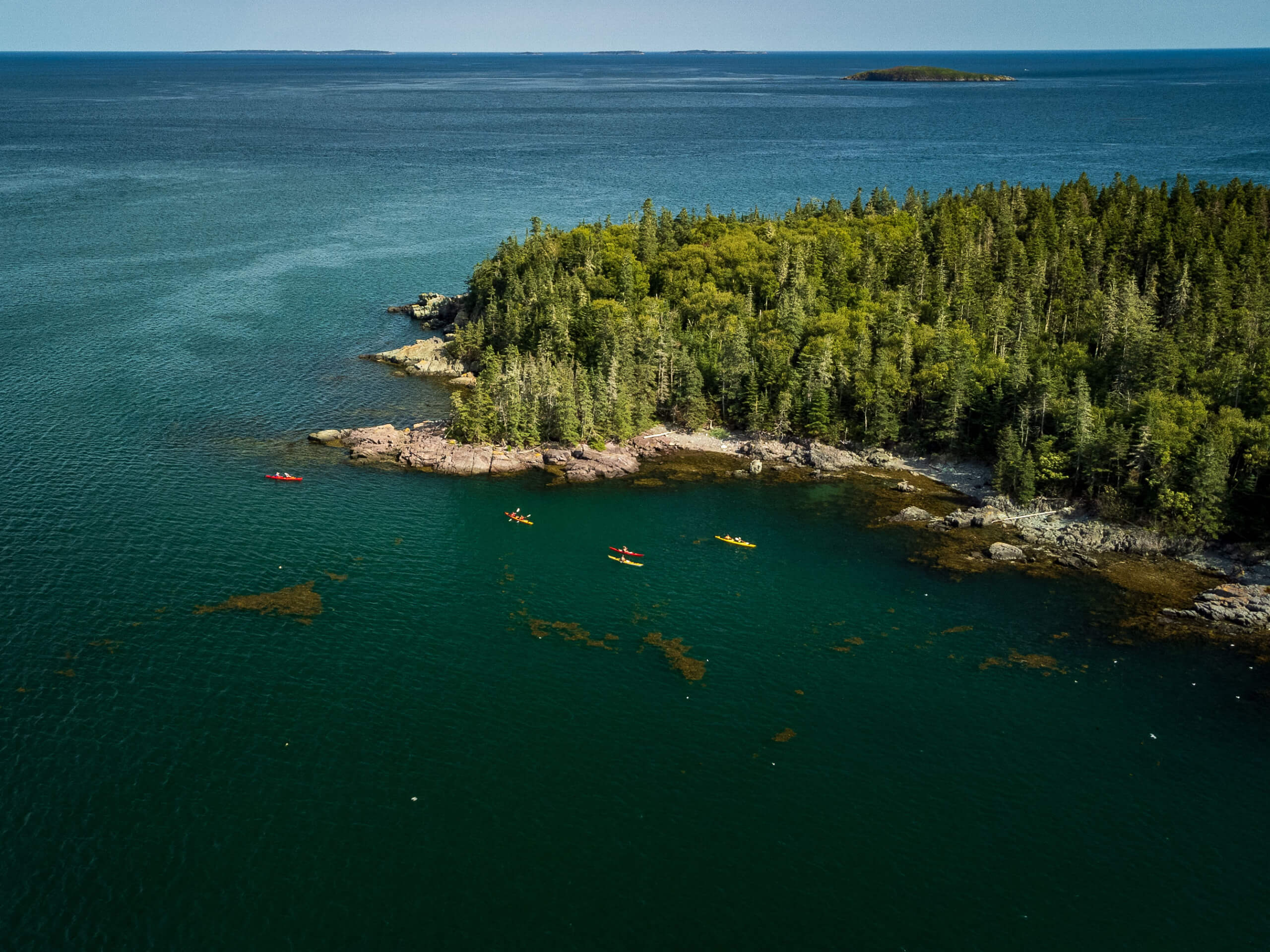 Bay of Fundy Sea Kayaking-20