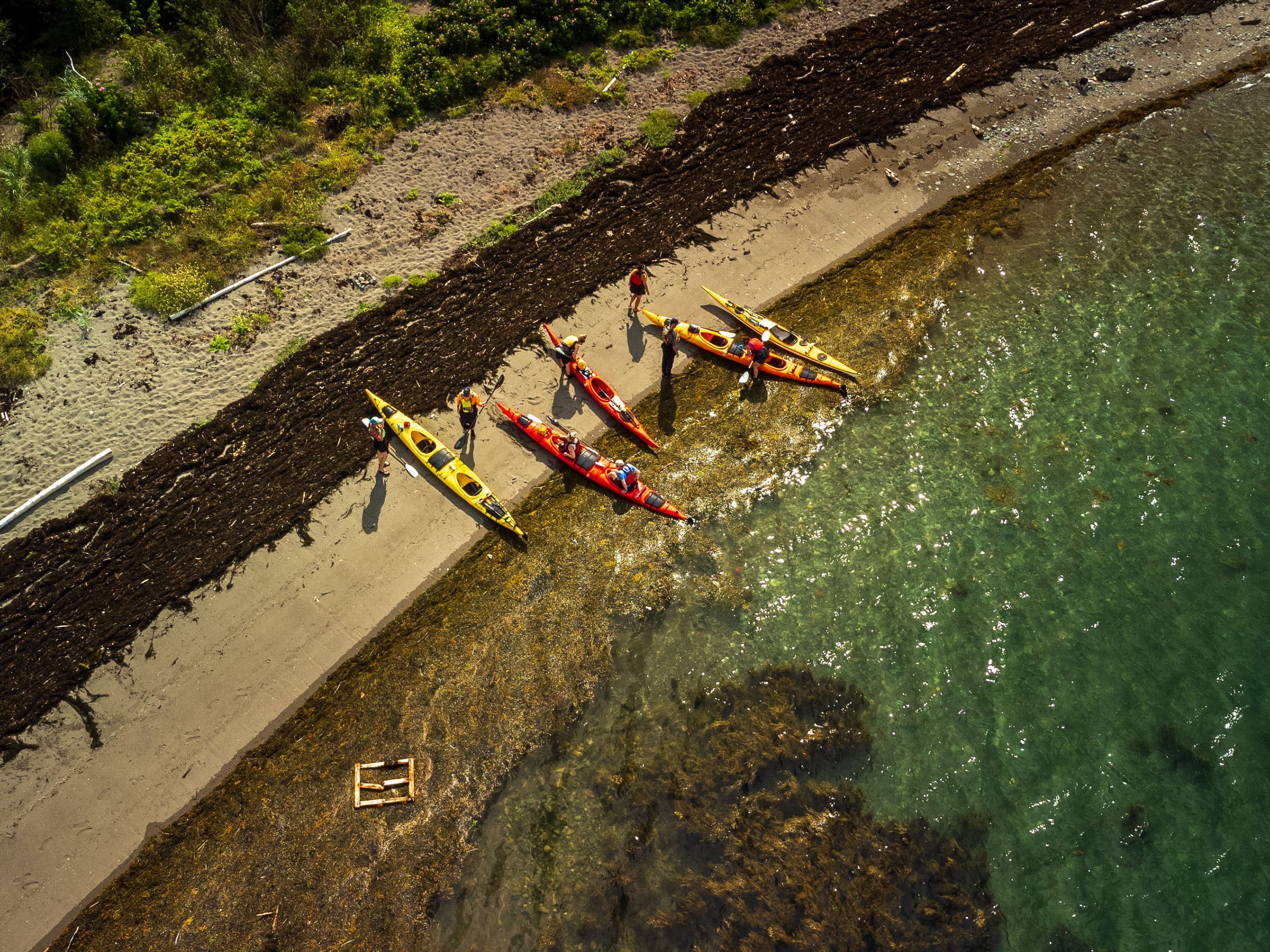 Bay of Fundy Sea Kayaking-22