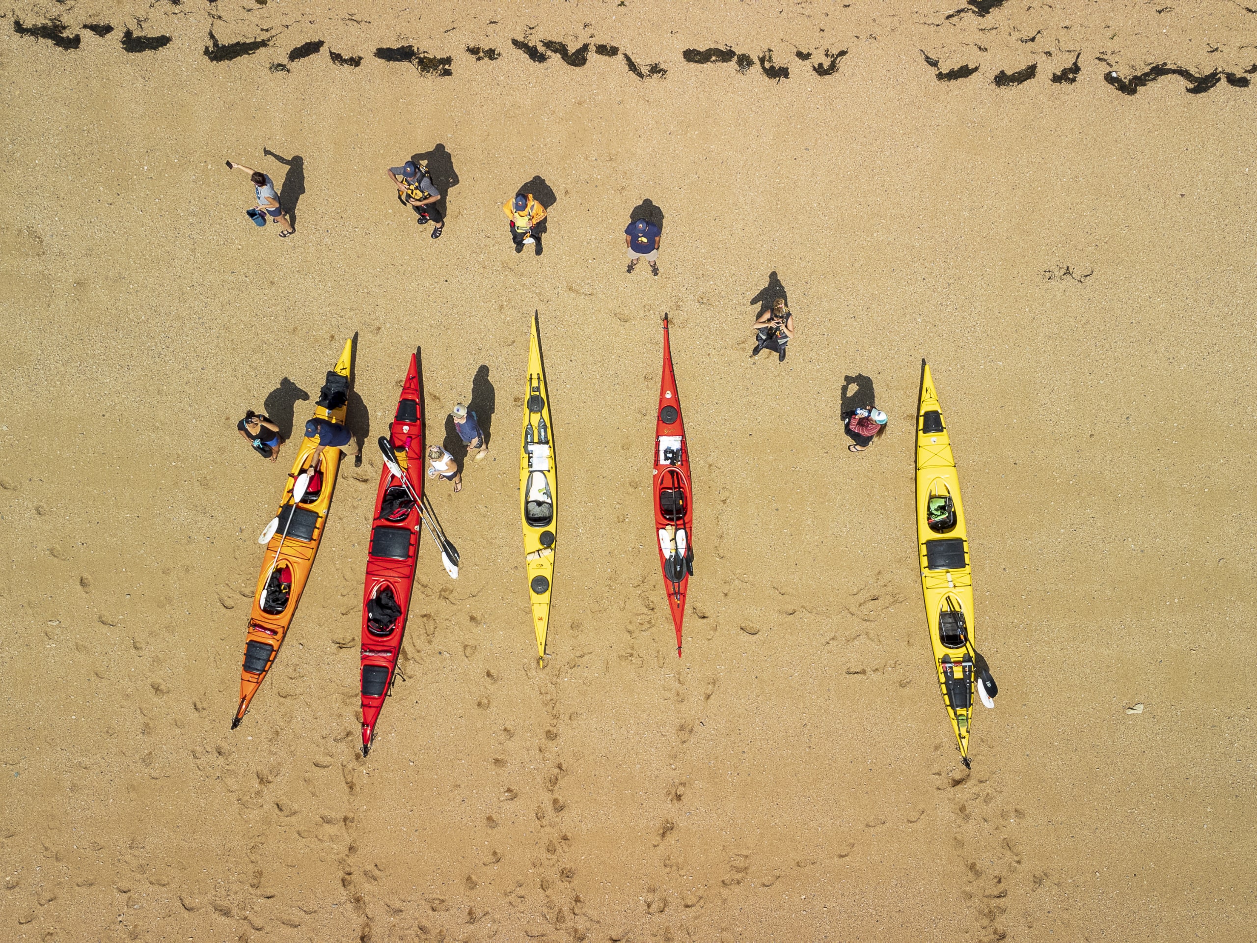 Bay of Fundy Sea Kayaking-23