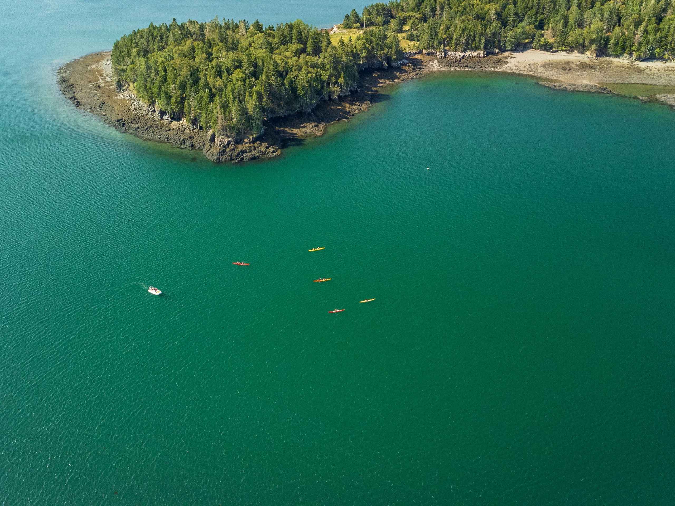 Bay of Fundy Sea Kayaking-28