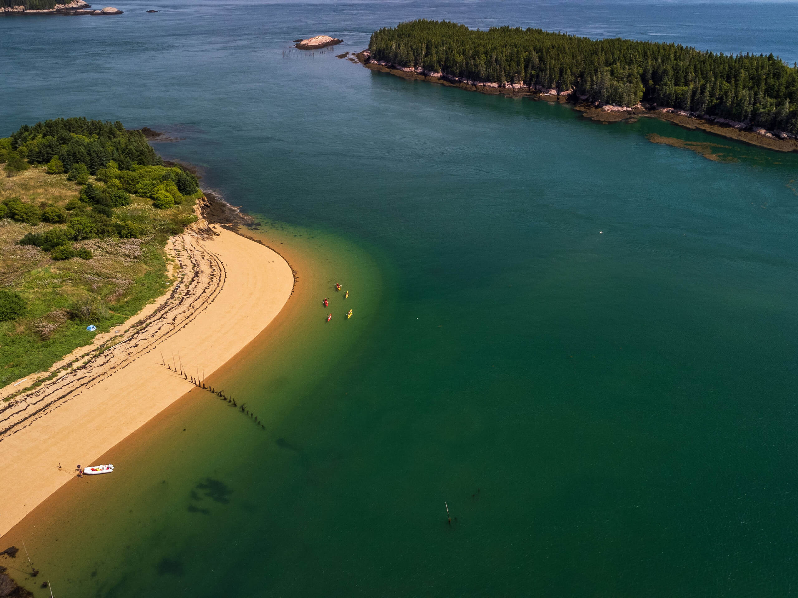 Bay of Fundy Sea Kayaking-29