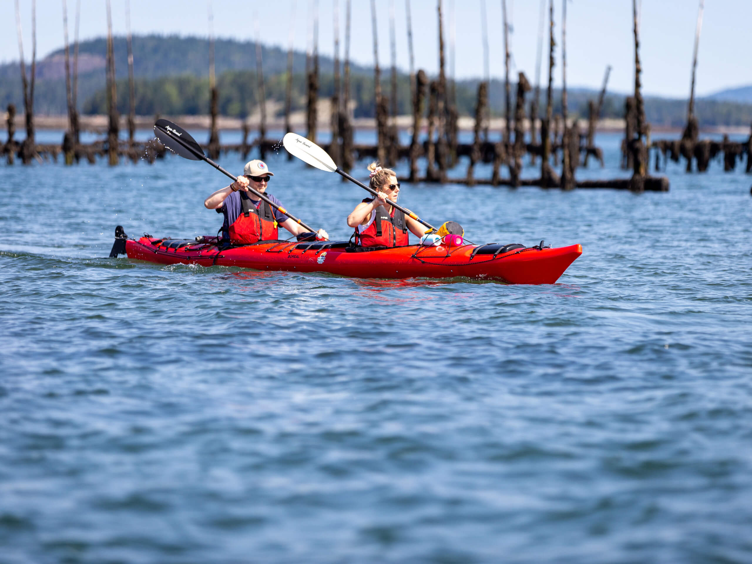 Bay of Fundy Sea Kayaking-3