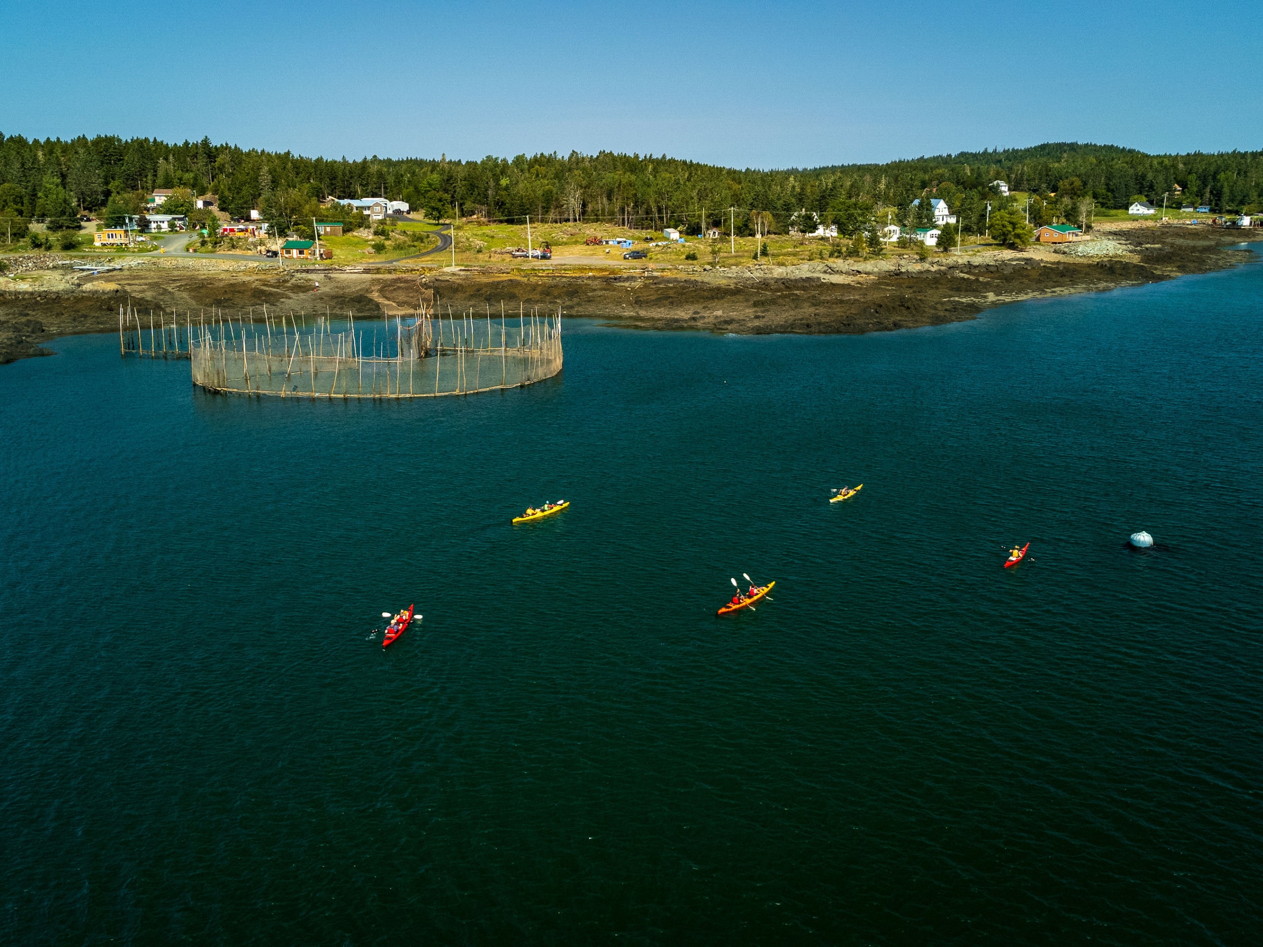 Bay of Fundy Sea Kayaking-4