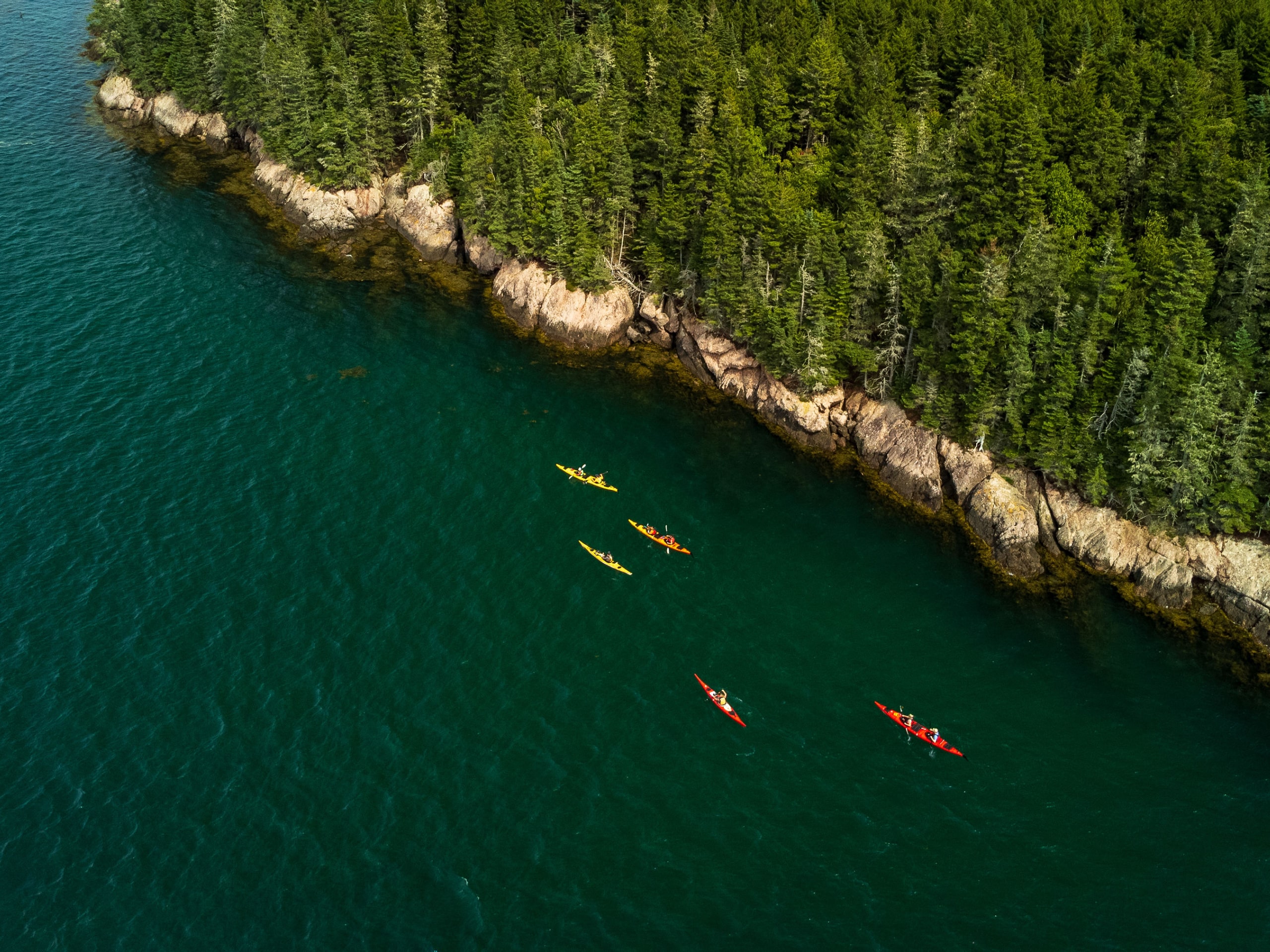 Bay of Fundy Sea Kayaking-5