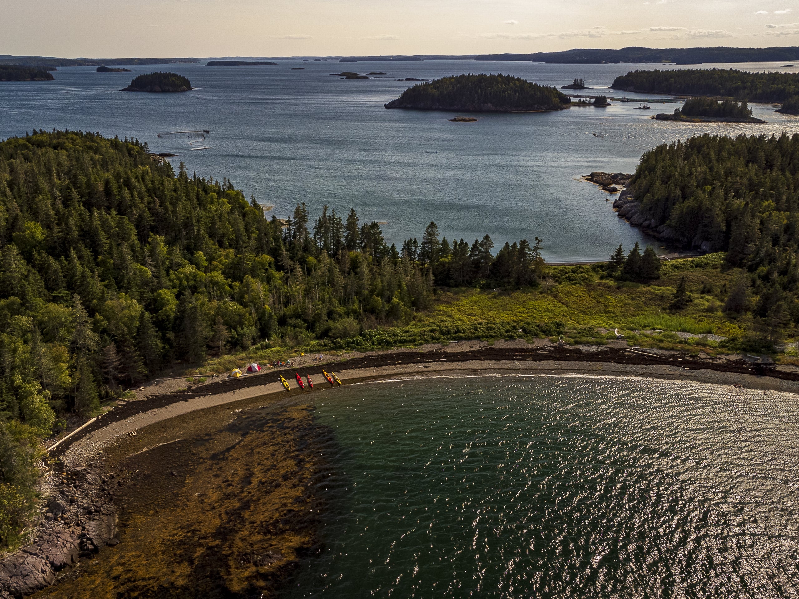 Bay of Fundy Sea Kayaking-6