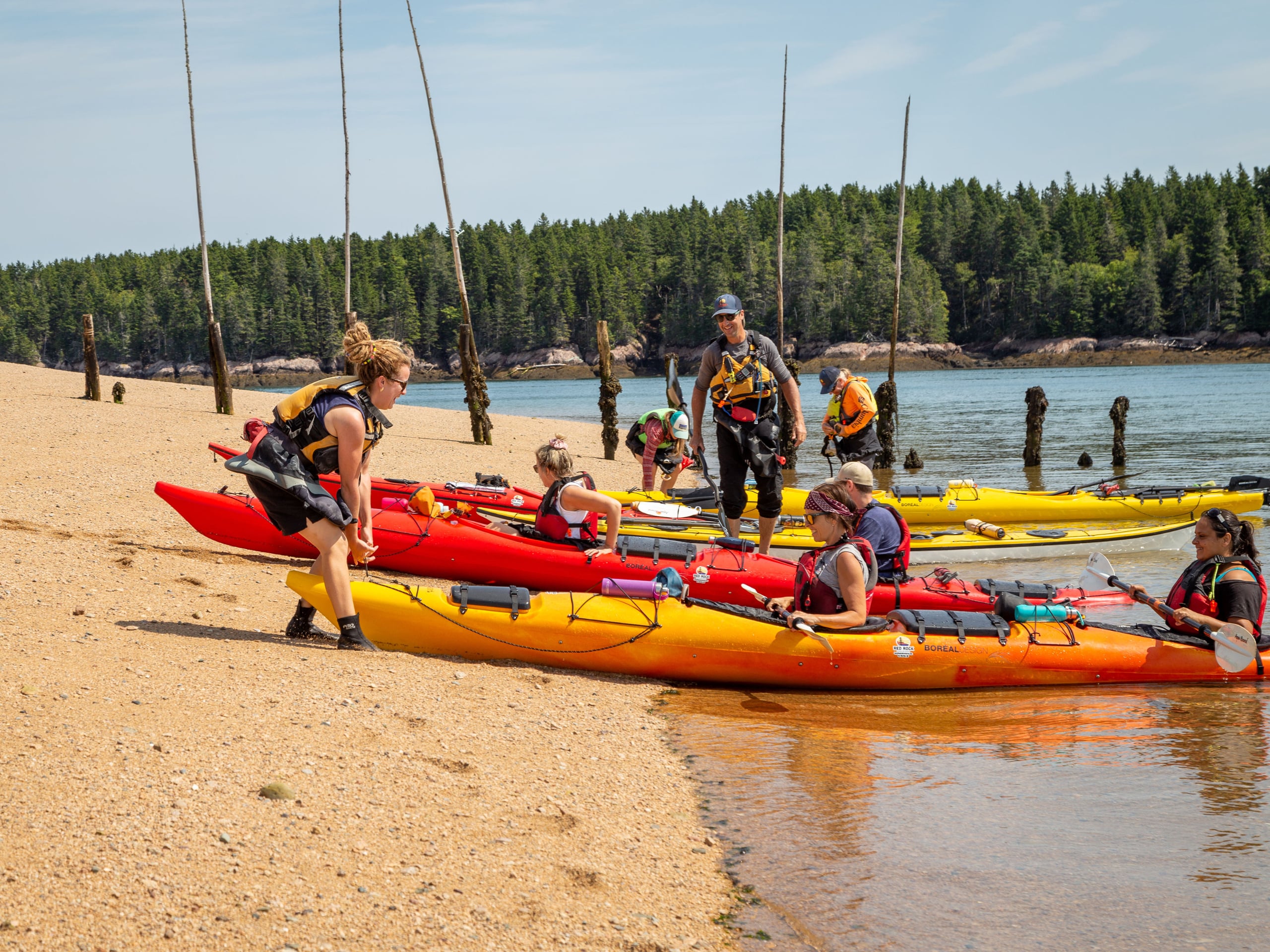 Bay of Fundy Sea Kayaking-8